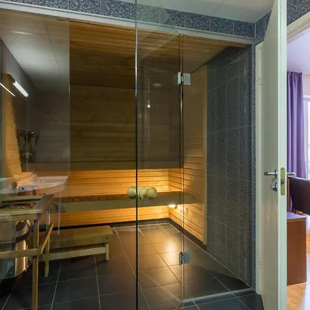 Отель Viiking Spa