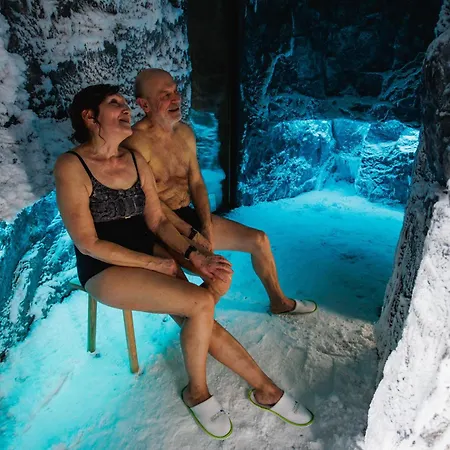 Отель Viiking Spa