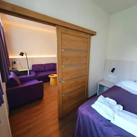 Отель Viiking Spa