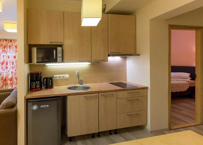 Viiking Hotel Pärnu